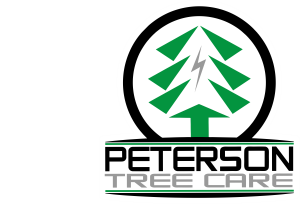 header-logo header-logo