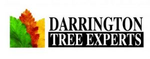 darrington-logo darrington-logo